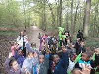 Sortie en forêt
