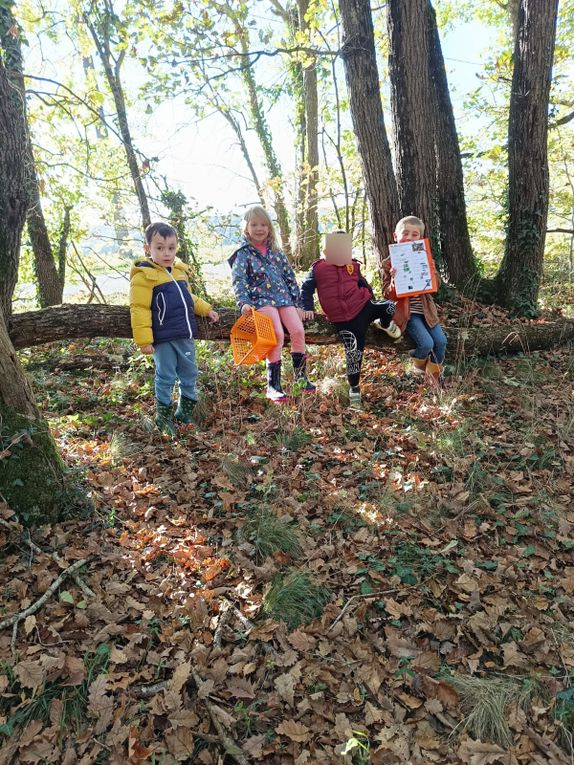 Ballade d'AUTOMNE  en forêt  pour les MS/GS 
