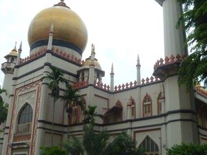 Visite des différents quartiers de Singapour... démesure, tradition, couleurs....