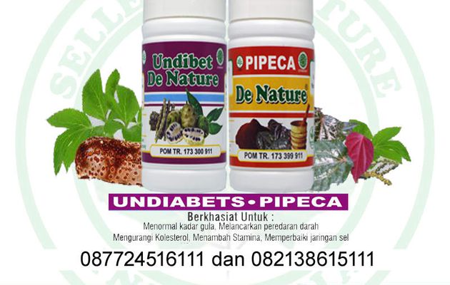 Konsultasi dan pemesanan Undiabet obat diabetes herbal