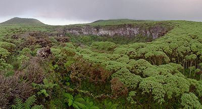 Îles Galapagos