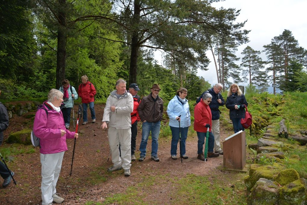 « Marche du 19 mai au camp celtique de la Bure  à Saint-Dié-des-Vosges.   