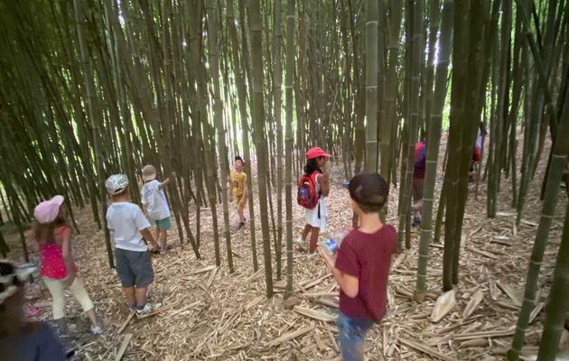 ACCUEIL DE LOISIRS: Bonne reprise à tous les enfants petits et grands