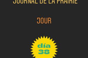 Journal de la prairie jour 38