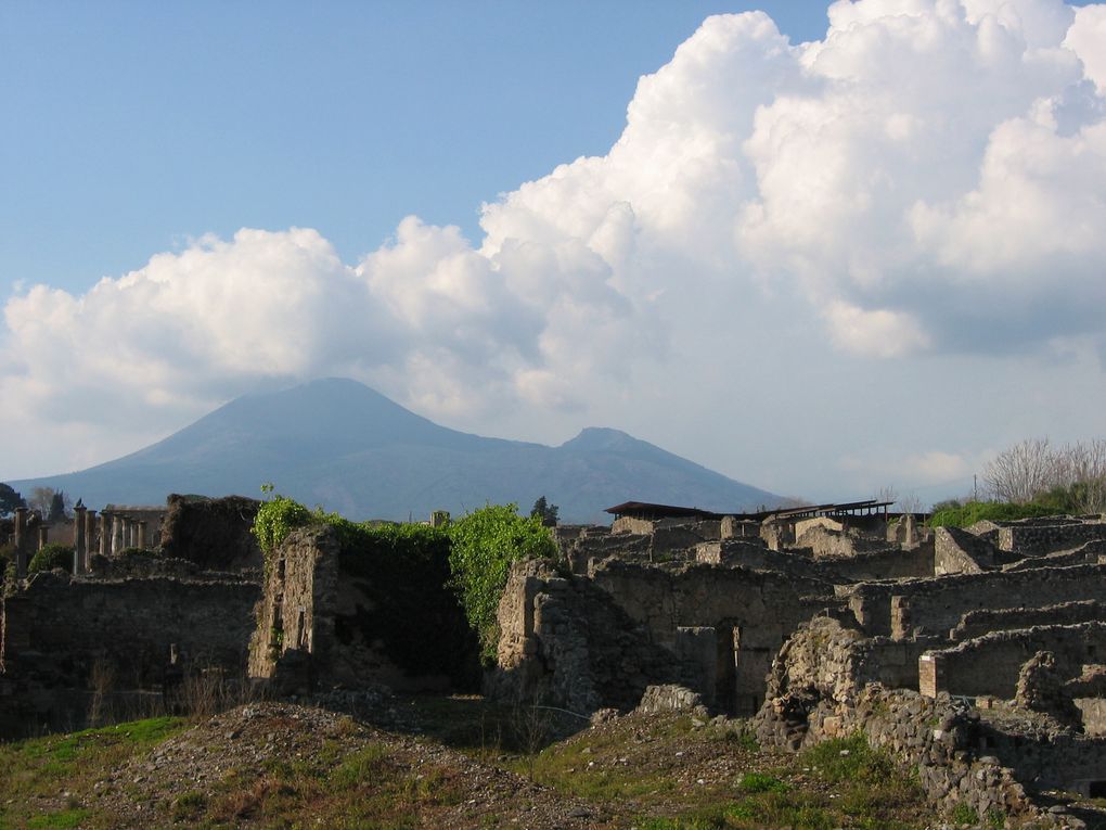 Images du voyage en Italie d'avril 2009 (3èmes A et B, 4èmes B et E).
Les photos sont publiées après demande d'autorisation à la famille. Toute réclamation doit être adressée au webmestre : tlepeut@yahoo.fr.