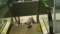 L'oiseau et l'escalator + l'oiseau et la vitre - 2 videos