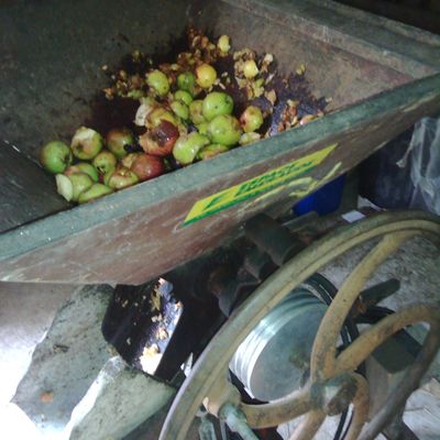 Faire du jus de pommes maison