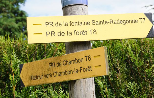 Sur les chemins de Chambon-la-Forêt - T6 PR de Chambon/T7 PR de la Fontaine Sainte-Radegonde/T8 PR de la forêt 