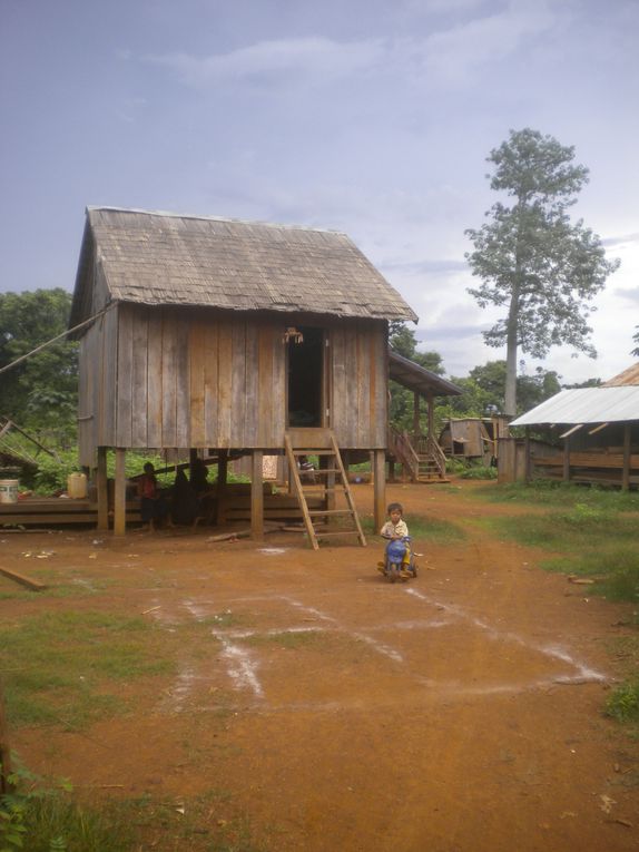 de Battambang à Banlung en passant par Siem Reap, Kompong Thom, Kompong Cham, Kratie