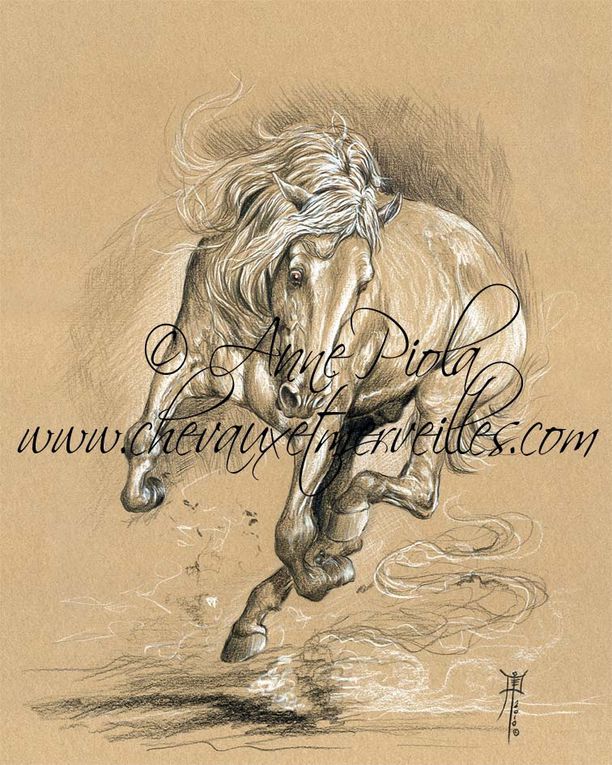 Peintures et dessins de l'artiste peintre du cheval Anne Piola.