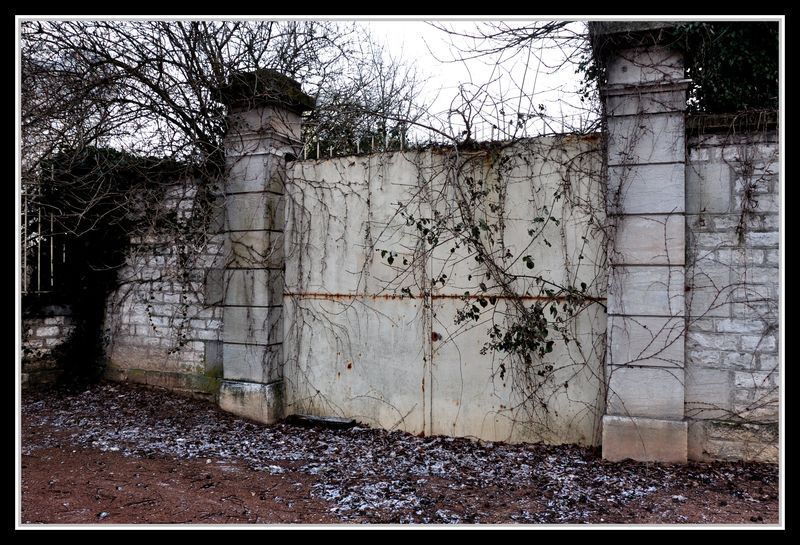 Avenue Jean Jaurès à Dijon. Un petit matin, lumière glauque, quelques flocons. Des bâtiments abandonnés.J'ai traité cette série d'une façon plus dure que mes photos habituelles.