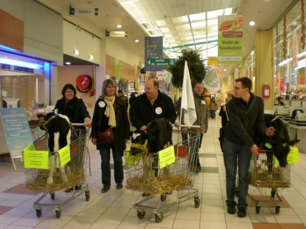 Quelques photos des actions lait 2008