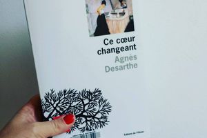 Ce coeur changeant, d'Agnès DESARTHE