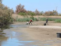 20230504 sauvetage en Camargue