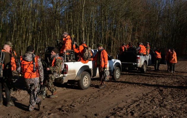 Chasse au Bois Saint Denis