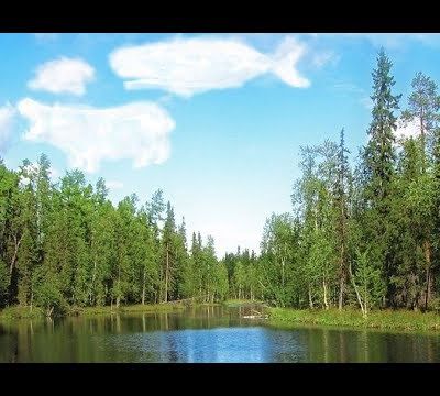 La rivière et les nuages 