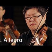 G.Ph. Telemann: Concerto in A major for Flute, Violin and Cello, IV: Allegro, TWV 53:A2