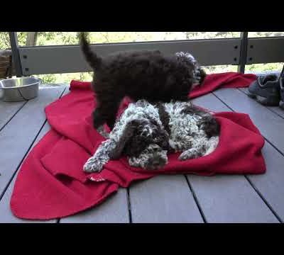 19 mai courte vidéo