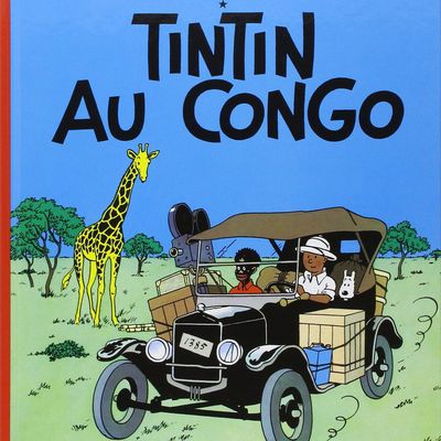 La colonisation ? Dénonciation hypocrite ou éloge romanesque ?