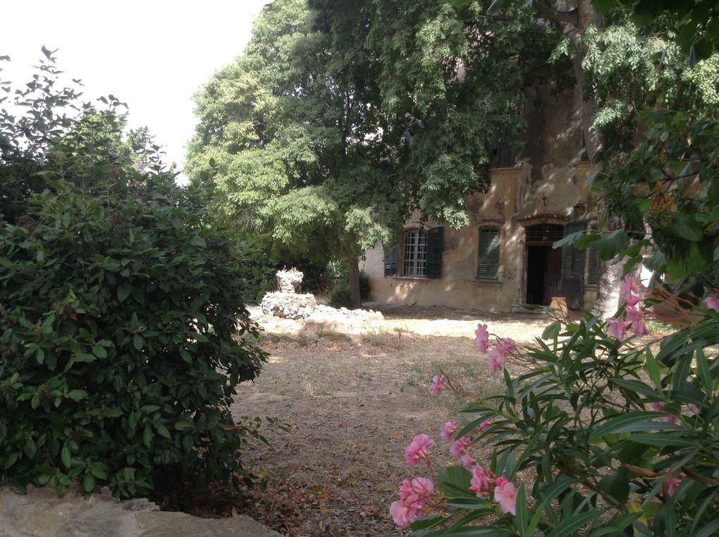 Jardin des saveurs, jardin magique, hortus du "Matrimoine Méditerranéen", jardin de la fraternité, engrais vert et jachère fleurie ... un petit coin de paradis à La Ciotat.