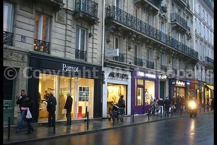 【OPEN】PARROT-RUE DE SEINE PARIS