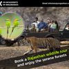 Book a Rajasthan wildlife tour and enjoy the serene forests