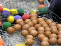 Mangeons des &quot;khai ping&quot; (oeufs grillés) !
