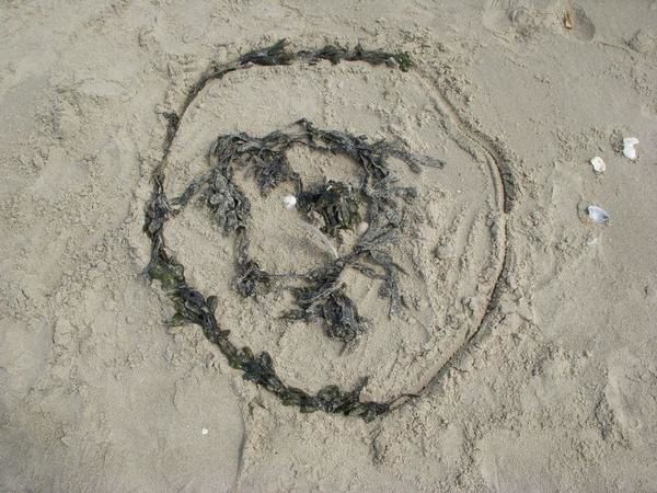 Album - Land art sur la plage de Boulogne-sur-mer (classes de Grands)