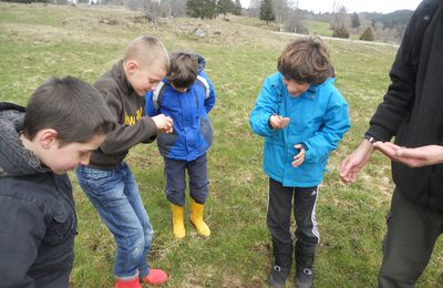 Danse des vers de terre et mini chasse au trésor