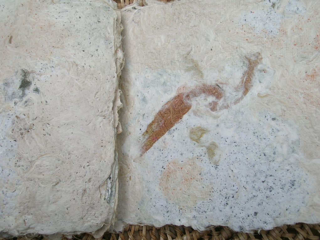 livres  de fibres de kozo et gampi (japonaises)  avec des inclusions de fibres teintes 