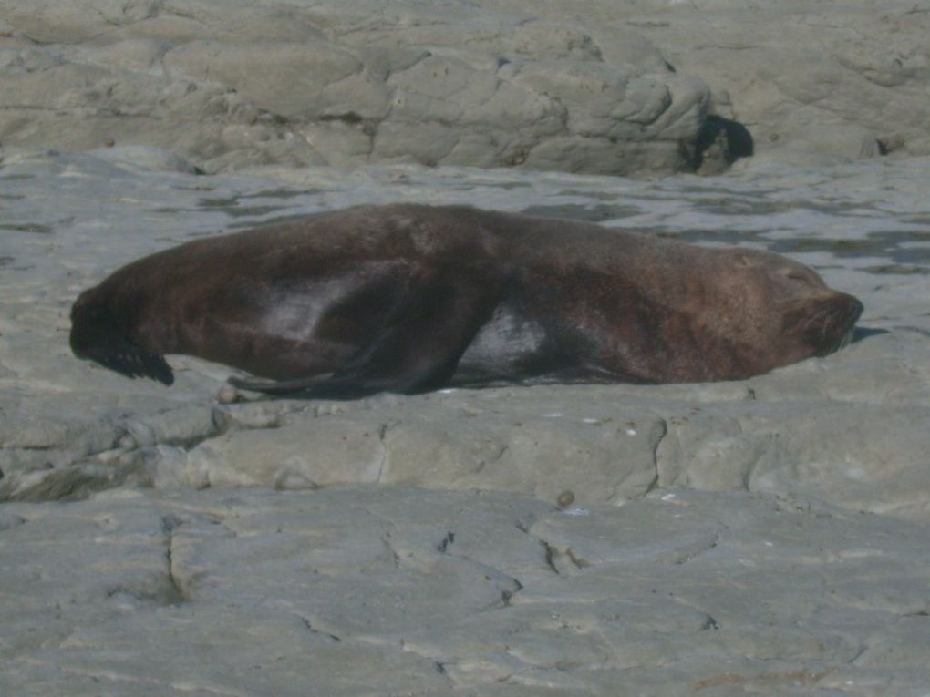 Album - 2009-12-13-New Zealand,Kaikoura