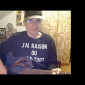 blue suede shoes de carl perkins (cover guitare voix)