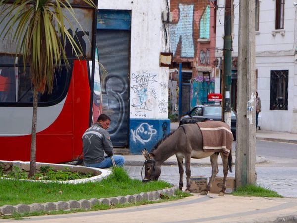 14 &gt; 17/03 - Chili: Con, Car, Mais...!