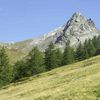 Découverte de la Géologie et de la Nature, été 2011, avec le Centre Briançonnais de Géologie Alpine