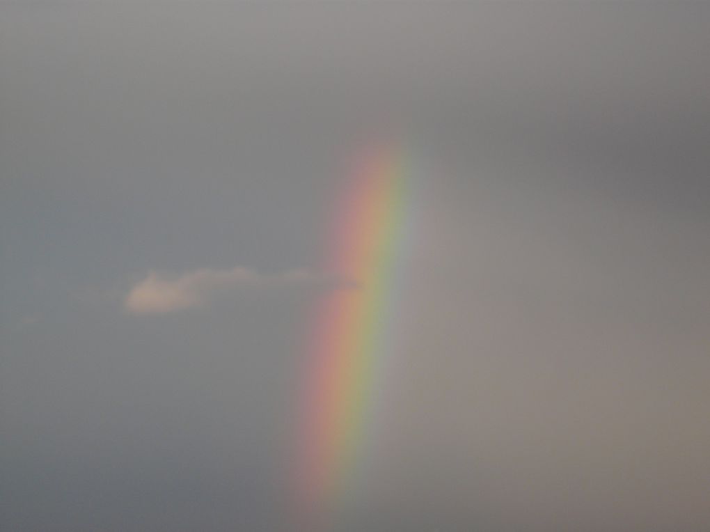 A Noël, Madère prend toutes ses couleurs, île bénite de Dieu ... mais le temps gâchera un peu la fête avec la moitié du voyage dans la tempête et les nuages !