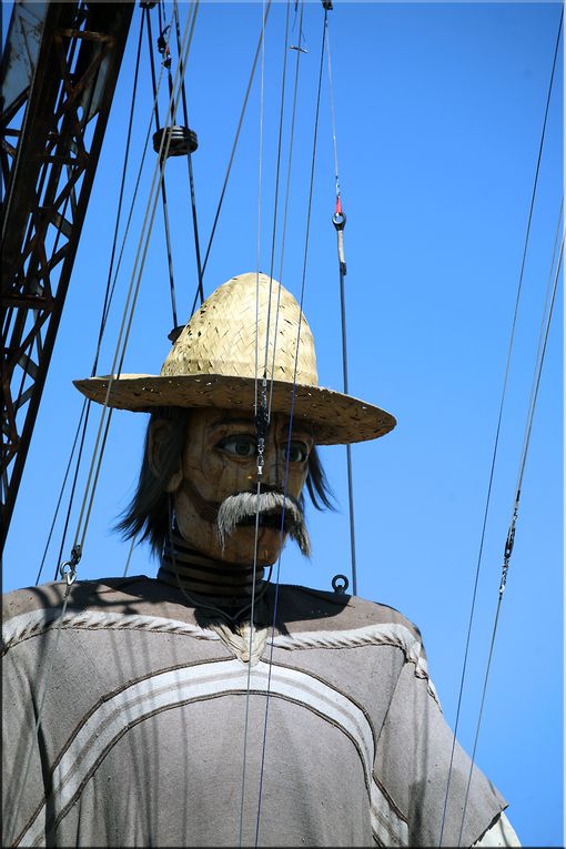 Album - Royal de Luxe Nantes serie 6