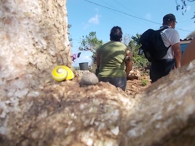 en allant ver s le rio Yumuri, baie Mata, les polymitas, visite exploitation artisanale de cacao