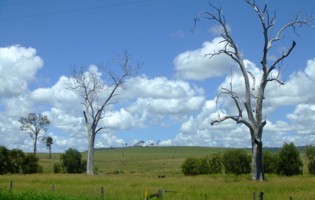 Petit tour dans la campagne australienne