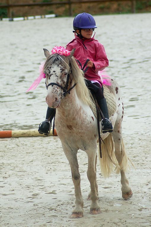 Photos des carrousels des cavaliers du poney club de labarthe sur leze.