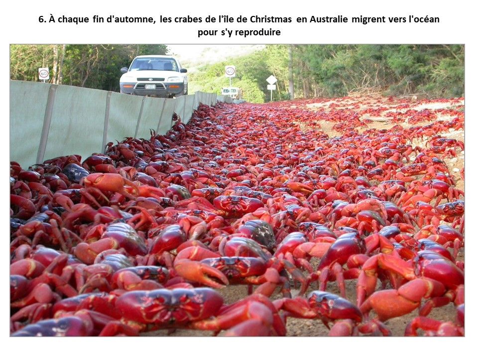 Divers - Phénomènes naturels