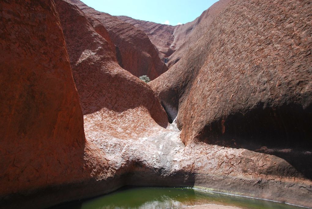 Uluru, Webis versus Mouky-Mouky