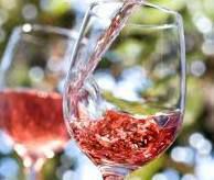 #Rose Merlot Producers South Africa Vineyards 