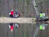 La mare aux canes et ses autres baigneurs