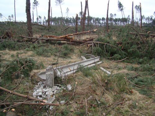 Je vous présente ici les photos que j'ai fait au lendemain de la tempête dans les Landes et dans le Sud Ouest. 