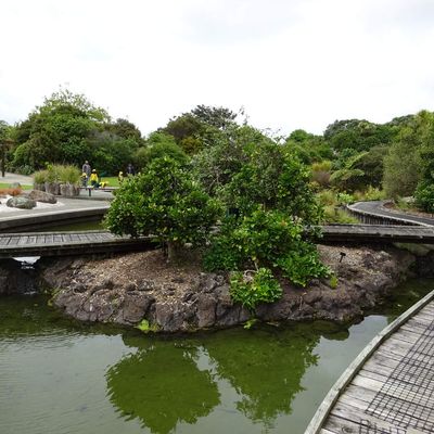 Neuseeland - Papakura - Tag 4