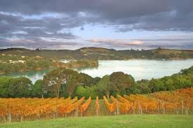 Auckland Wine Region