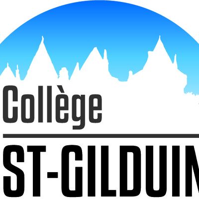 Le blog de la DP3 du college st Gilduin