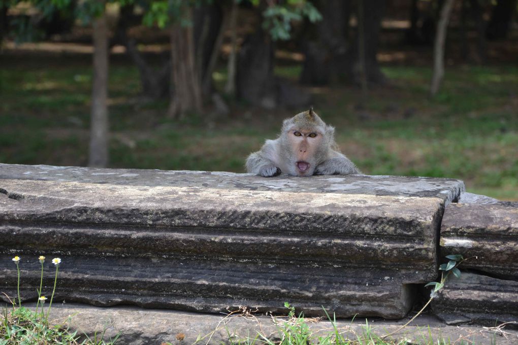 Les temples d'Angkor et ses environs, une des merveilles du Cambodge! Quelques photos du temple de Preah Vihr, à la frontière cambodienne et thaï.