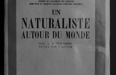 Roger Heim (1900-1979): Naturaliste, humaniste, résistant, directeur du Muséum national d'Histoire naturelle