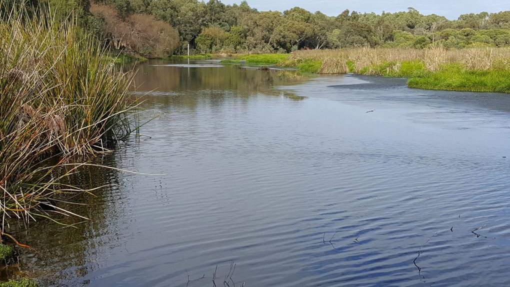 Pinnacles et Yanchep